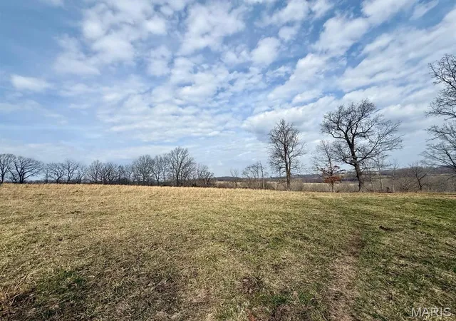 Homes for sale in Cabool, MO | 000 Barnum Dr Tract 1, Cabool, MO 65689 | MLS# MIS26016622