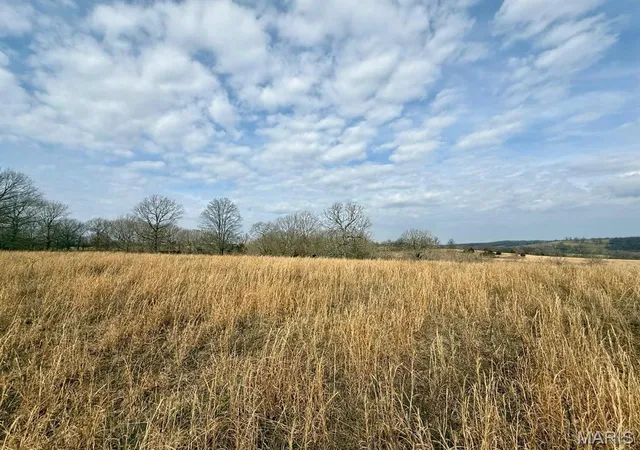 Homes for sale in Cabool, MO | 000 Barnum Dr Tract 1, Cabool, MO 65689 | MLS# MIS26016622