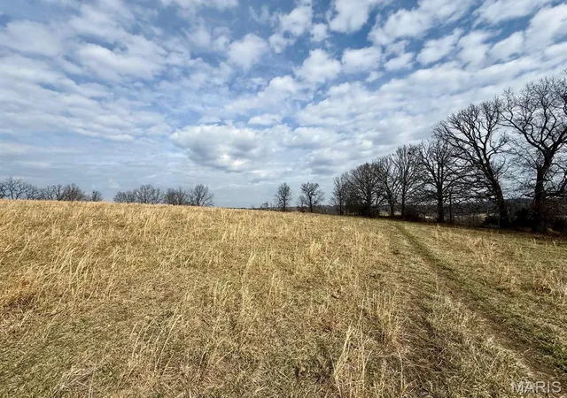 Homes for sale in Cabool, MO | 000 Barnum Dr Tract 1, Cabool, MO 65689 | MLS# MIS26016622