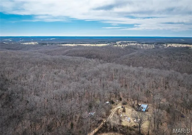 Homes for sale in Dixon, MO | 33223 Maries Road 503, Dixon, MO 65459 | MLS# MIS26016645