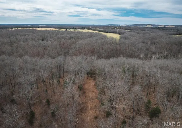 Homes for sale in Dixon, MO | 33223 Maries Road 503, Dixon, MO 65459 | MLS# MIS26016645