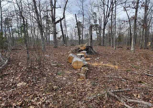 Homes for sale in Piedmont, MO | 0 Wayne County Road 434, Piedmont, MO 63957 | MLS# MIS26016745
