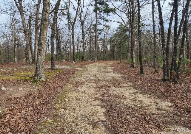 Homes for sale in Piedmont, MO | 0 Wayne County Road 434, Piedmont, MO 63957 | MLS# MIS26016745