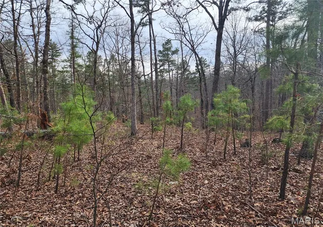 Homes for sale in Piedmont, MO | 0 Wayne County Road 434, Piedmont, MO 63957 | MLS# MIS26016745