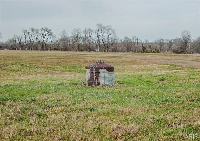 Photo 2 of Land for sale at 0 County Road 260, Bloomfield, MO 63825 | MLS# MIS26017093 | Listing updated on 2026-09-22