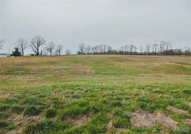 Photo 3 of Land for sale at 0 County Road 260, Bloomfield, MO 63825 | MLS# MIS26017093 | Listing updated on 2026-09-22