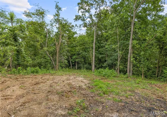 Homes for sale in Bonne Terre, MO | 9793 Grove Dr, Bonne Terre, MO 63628 | MLS# MIS26017120
