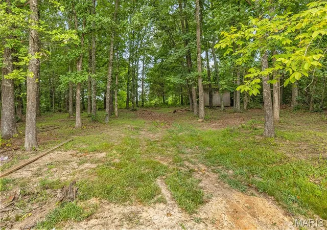 Homes for sale in Bonne Terre, MO | 9793 Grove Dr, Bonne Terre, MO 63628 | MLS# MIS26017120