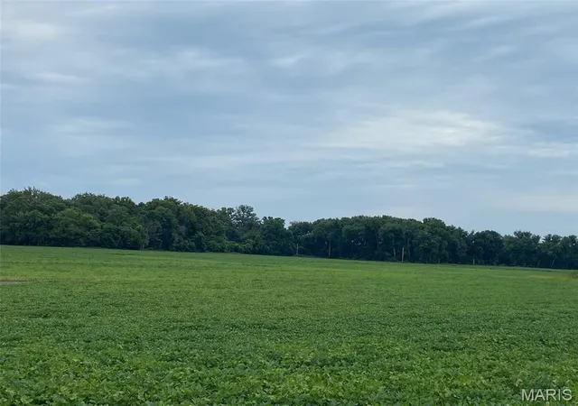 Photo 1 of Land for sale at 000 South Fork Rd, Red Bud, IL 62278 | MLS# MIS26017128 | Listing updated on 2026-07-27