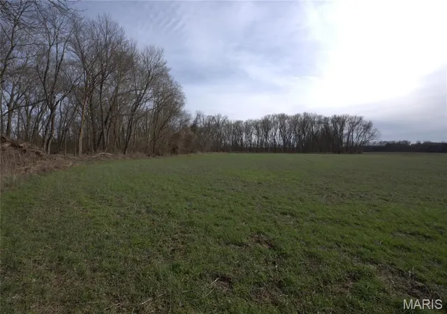 Homes for sale in Red Bud, IL | 000 South Fork Rd, Red Bud, IL 62278 | MLS# MIS26017128
