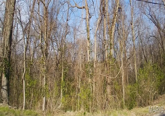Photo 1 of Land for sale at Apn Briggs St, Edwardsville, IL 62025 | MLS# MIS26017211 | Listing updated on 2026-08-09