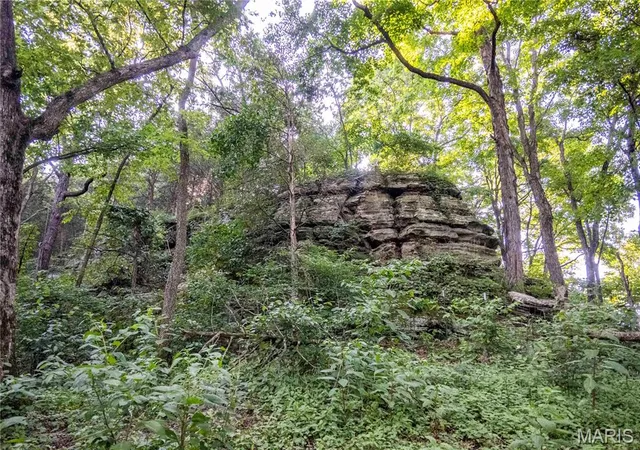 Photo 98 of Land for sale at 161 Van Booven Ln, Hermann, MO 65041 | MLS# MIS26017308 | Listing updated on 2026-08-05
