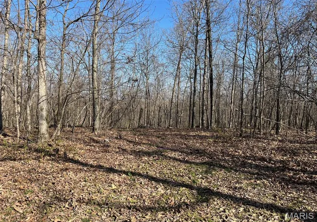 1st image of Parcel #1 Lake Road, Silva, MO 63964 | MLS# MIS26017684