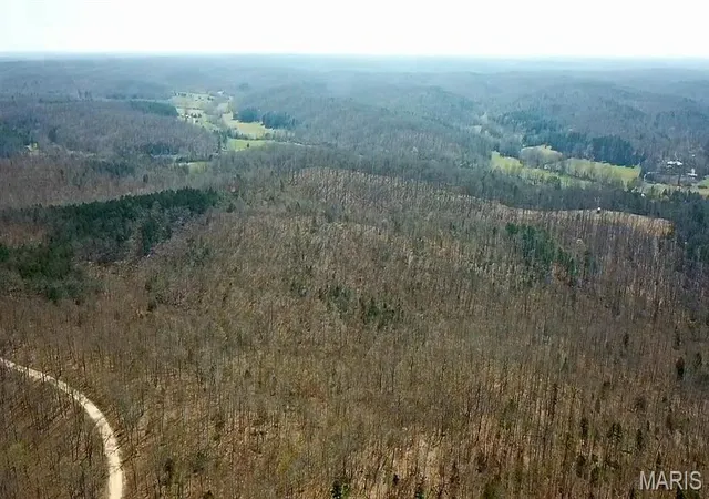 2nd image of Parcel #1 Lake Road, Silva, MO 63964 | MLS# MIS26017684
