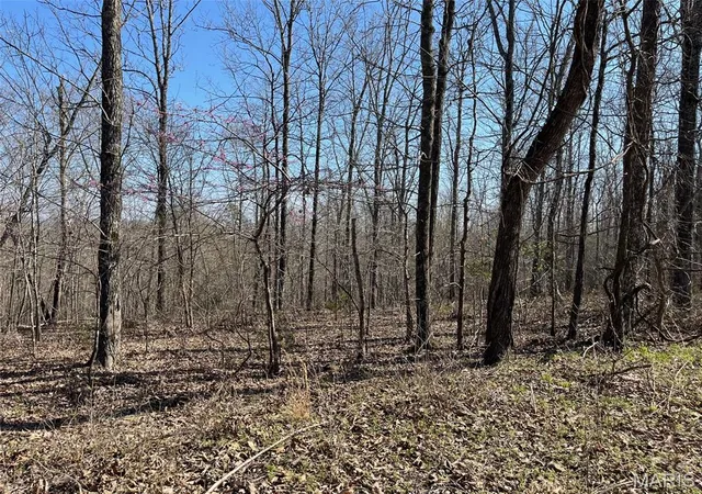 1st image of Parcel #3 Lake Road, Silva, MO 63964 | MLS# MIS26017709