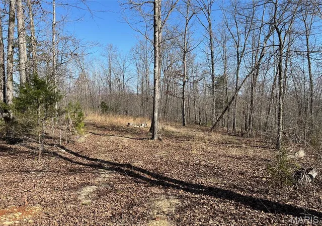 3rd image of Parcel #3 Lake Road, Silva, MO 63964 | MLS# MIS26017709