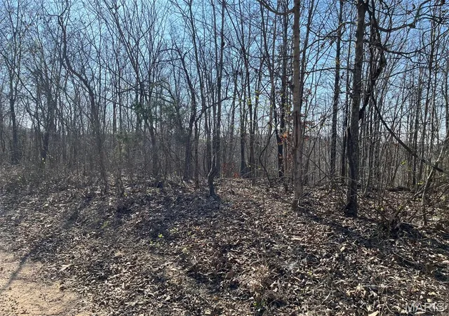 4th image of Parcel #3 Lake Road, Silva, MO 63964 | MLS# MIS26017709