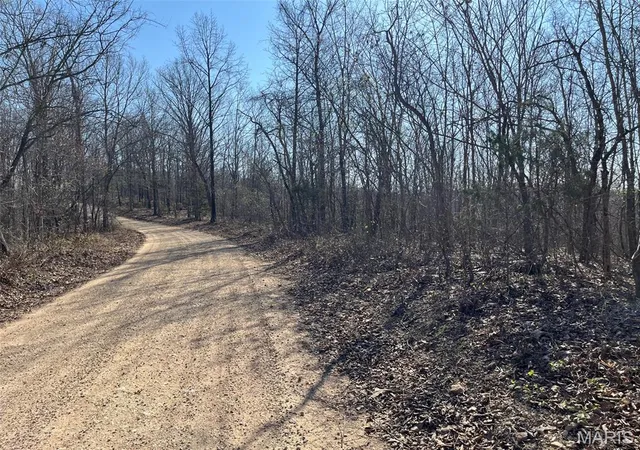 5th image of Parcel #3 Lake Road, Silva, MO 63964 | MLS# MIS26017709