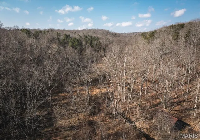 Homes for sale in Ellington, MO | 0000 County Road 404, Tract 2, Ellington, MO 63638 | MLS# MIS26017916