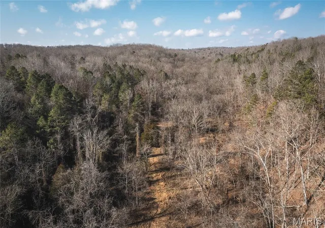 Homes for sale in Ellington, MO | 0000 County Road 404, Tract 2, Ellington, MO 63638 | MLS# MIS26017916