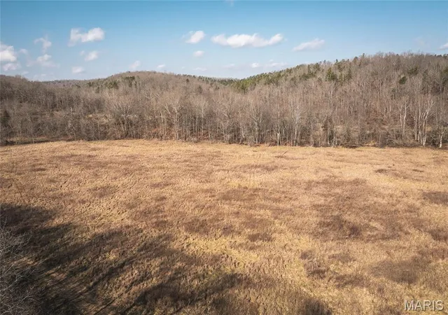 Homes for sale in Ellington, MO | 000 County Road 404, Tract 3, Ellington, MO 63638 | MLS# MIS26017930
