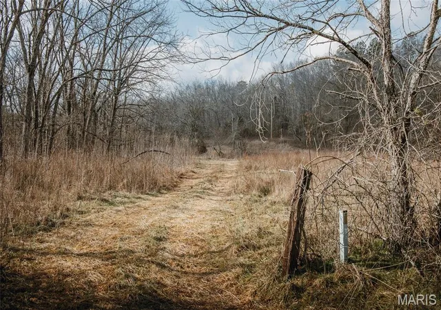 Homes for sale in Ellington, MO | 000 County Road 404, Tract 3, Ellington, MO 63638 | MLS# MIS26017930