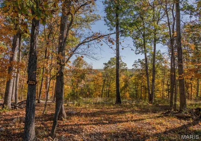 1st image of 2824 Morgan Lake Dr, Wright City, MO 63390 | MLS# MIS26018146