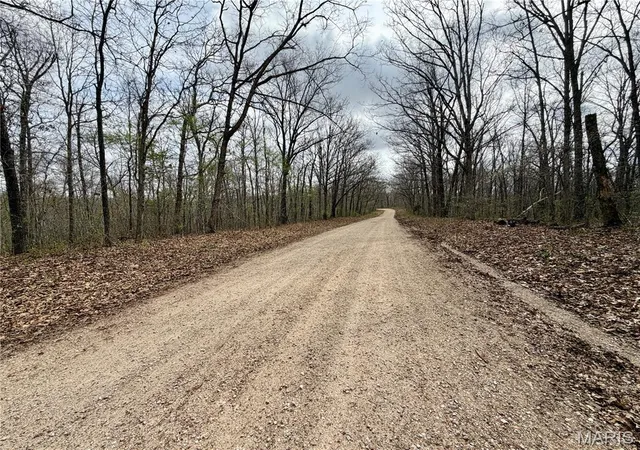 Homes for sale in Salem, MO | 0 Tbd Cr 4280, Salem, MO 65560 | MLS# MIS26018236