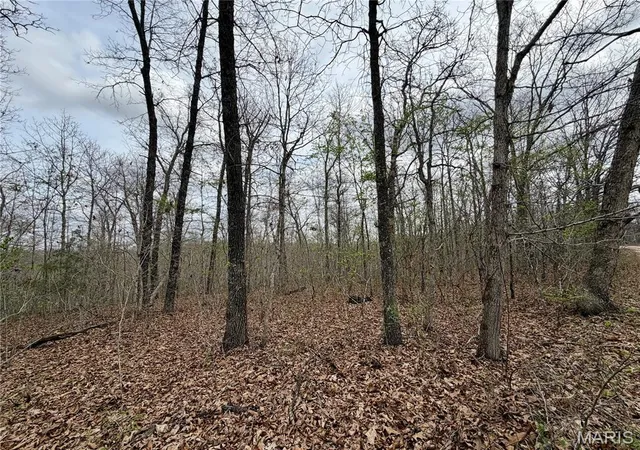 Homes for sale in Salem, MO | 0 Tbd Cr 4280, Salem, MO 65560 | MLS# MIS26018236