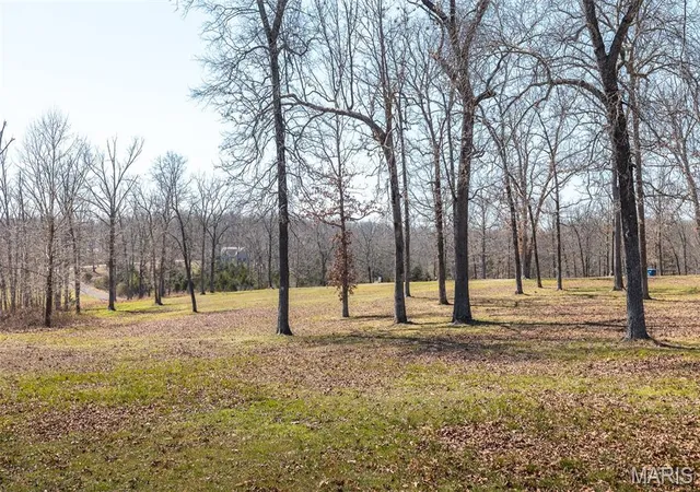 Homes for sale in Salem, MO | 447 County Road 4185, Salem, MO 65560 | MLS# MIS26018448