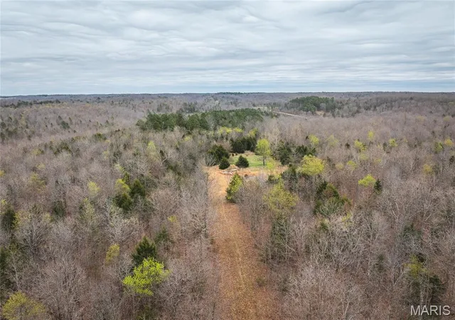 Homes for sale in Mountain View, MO | 000 County Road 2660, Mountain View, MO 65548 | MLS# MIS26018633