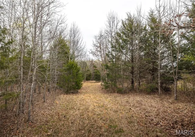 Homes for sale in Mountain View, MO | 000 County Road 2660, Mountain View, MO 65548 | MLS# MIS26018633
