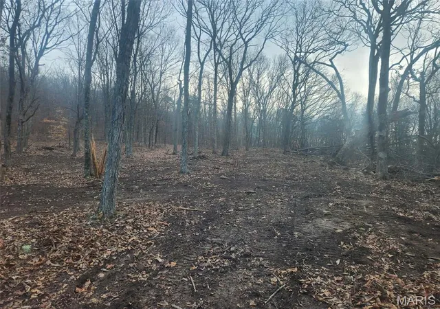 4th image of 0 Hwy O, Fredericktown, MO 63645 | MLS# MIS26018943