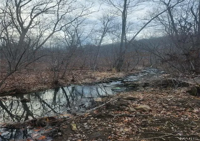 5th image of 0 Hwy O, Fredericktown, MO 63645 | MLS# MIS26018943