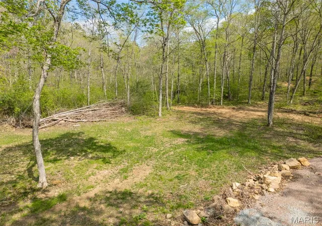 25th image of 0 Hwy O, Fredericktown, MO 63645 | MLS# MIS26018943