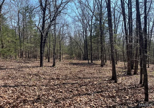 2nd image of 30050 Hwy T, Richland, MO 65556 | MLS# MIS26019074