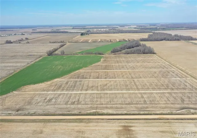 3rd image of Tbd Clay County Road 172, Success, AR 72470 | MLS# MIS26019127
