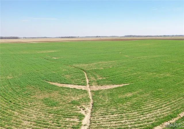 4th image of Tbd Clay County Road 172, Success, AR 72470 | MLS# MIS26019127