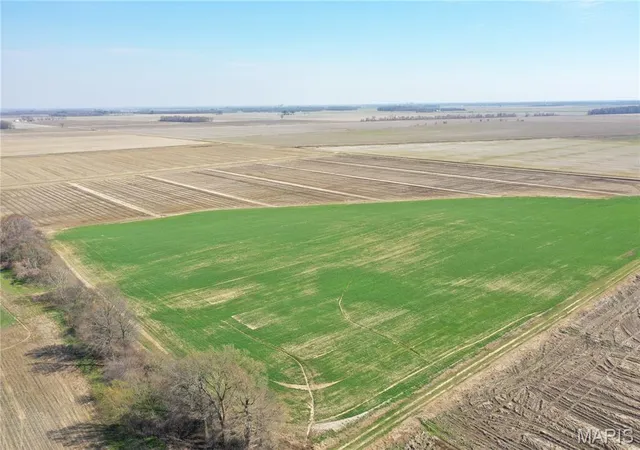 5th image of Tbd Clay County Road 172, Success, AR 72470 | MLS# MIS26019127