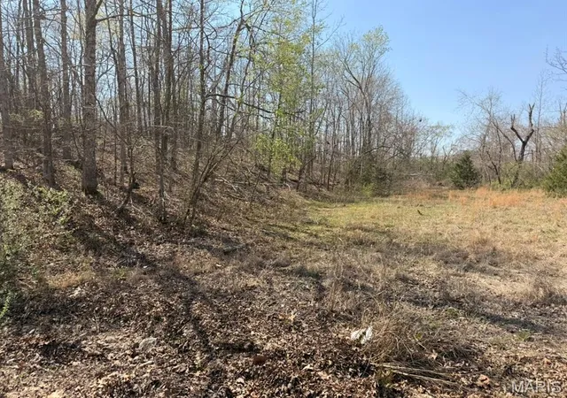 1st image of 0 Woodland Hills Rd, Poplar Bluff, MO 63901 | MLS# MIS26019255