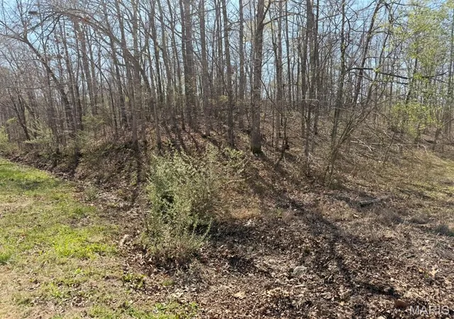 2nd image of 0 Woodland Hills Rd, Poplar Bluff, MO 63901 | MLS# MIS26019255