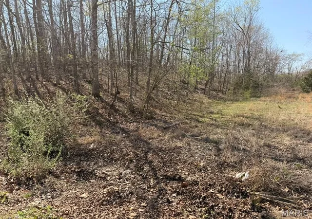 3rd image of 0 Woodland Hills Rd, Poplar Bluff, MO 63901 | MLS# MIS26019255