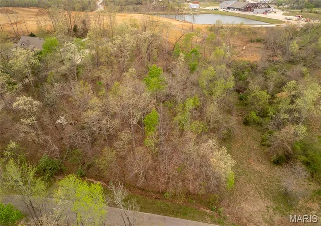 4th image of 0 Woodland Hills Rd, Poplar Bluff, MO 63901 | MLS# MIS26019255