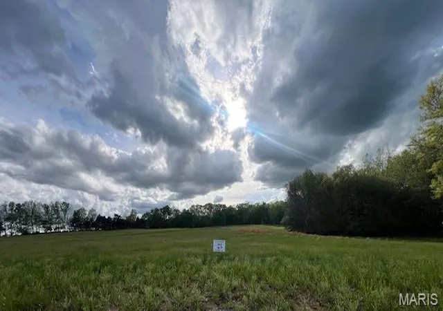 3rd image of Lot 25 Holt Summit Ct, Wentzville, MO 63385 | MLS# MIS26019445