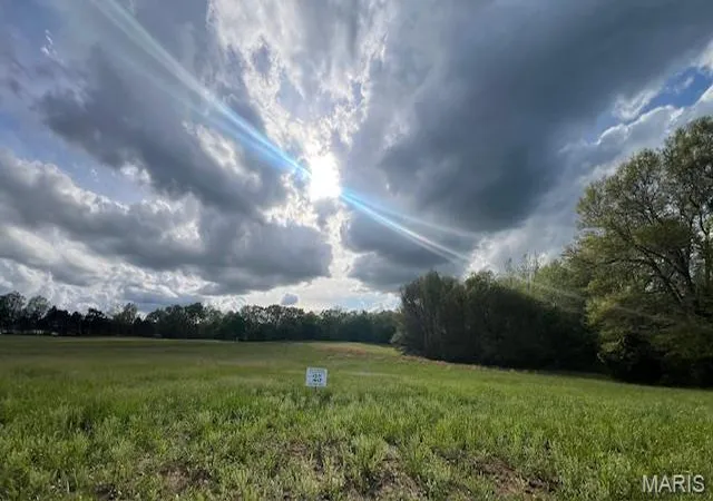 5th image of Lot 25 Holt Summit Ct, Wentzville, MO 63385 | MLS# MIS26019445