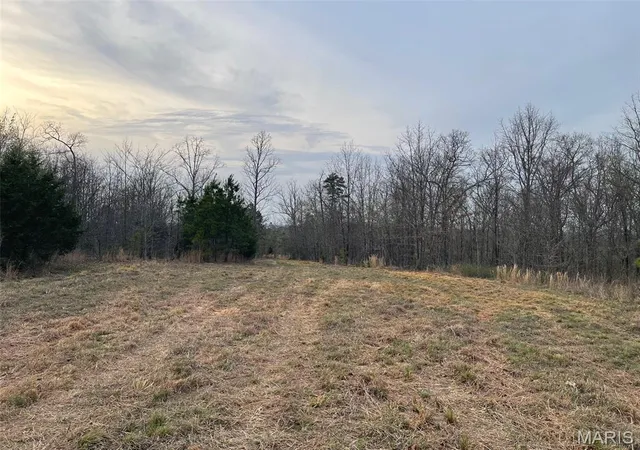 Homes for sale in Marquand, MO | 0 Hwy Hh & N, Marquand, MO 63655 | MLS# MIS26019541