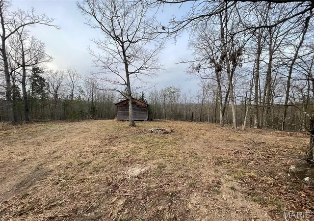 Homes for sale in Marquand, MO | 0 Hwy Hh & N, Marquand, MO 63655 | MLS# MIS26019541