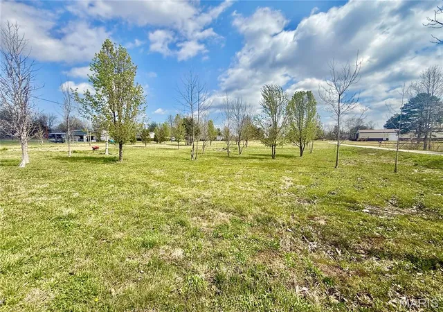 Homes for sale in Fredericktown, MO | 0 County Road 334, Fredericktown, MO 63645 | MLS# MIS26019550