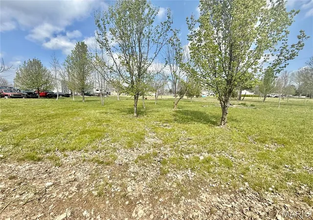 Homes for sale in Fredericktown, MO | 0 County Road 334, Fredericktown, MO 63645 | MLS# MIS26019550