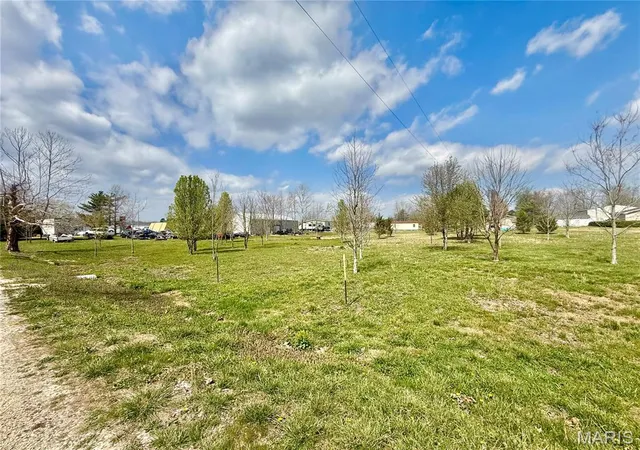 Homes for sale in Fredericktown, MO | 0 County Road 334, Fredericktown, MO 63645 | MLS# MIS26019550